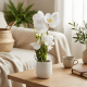 Artificial Plant